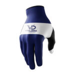 Motocross Gloves